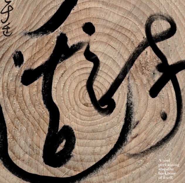 名称：于适 - 适诗 2026 FLAC