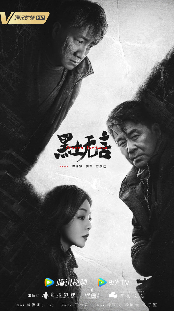 黑土无言 全12集 国语中字 2024 4K