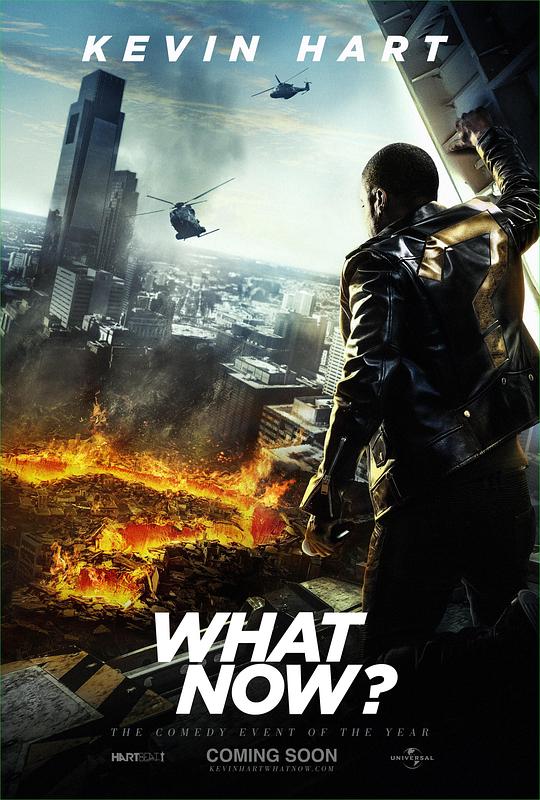 凯文·哈特：整点啥呢？ Kevin Hart: What Now? (2016) 1080p 原盘Remux 已刮削