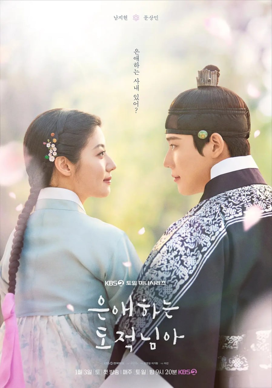 亲爱的盗贼大人 (2026) 第1-10集