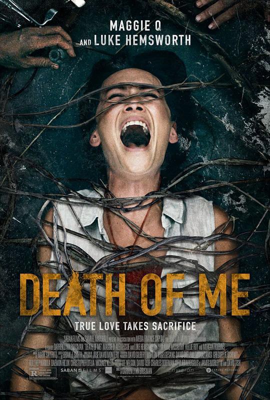 本人之死 The Death of Me (2020) 1080p 原盘Remux 中文字幕 已刮削