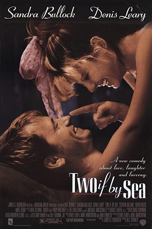 偷心计划 Two if by Sea (1996) 1080p 原盘Remux 已刮削