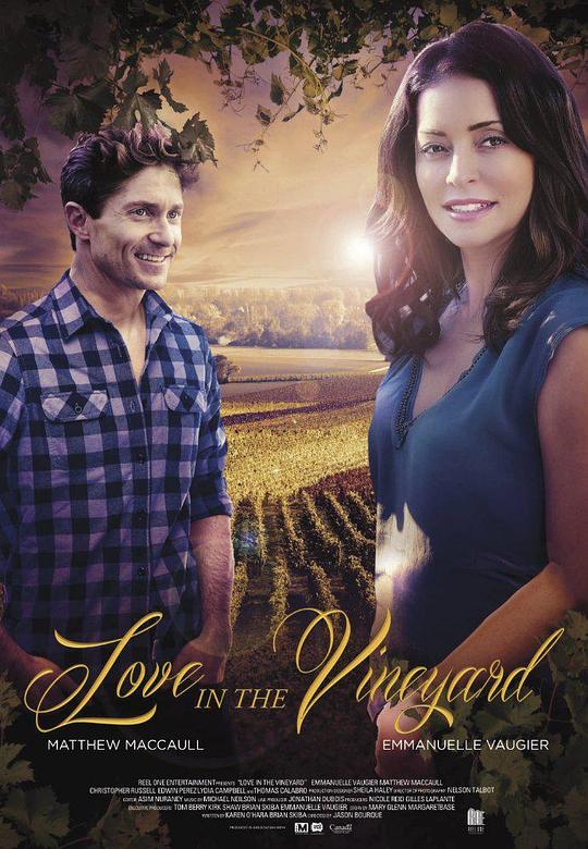 爱在葡萄园 Love in the Vineyard (2016) 1080p 原盘Remux 已刮削