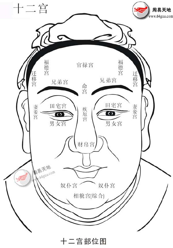 图解麻衣神相面相手相分析 一用就灵的权威相术大全[pdf]
