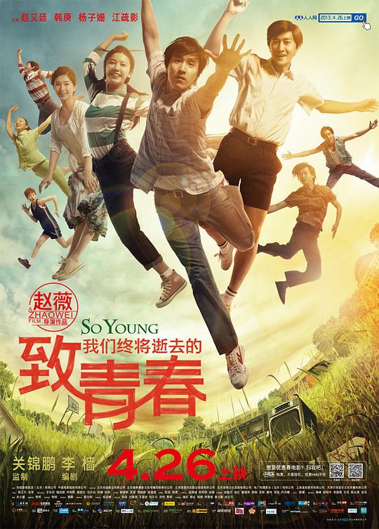 致我们终将逝去的青春 (2013) 1080p 原盘Remux 中文字幕 已刮削
