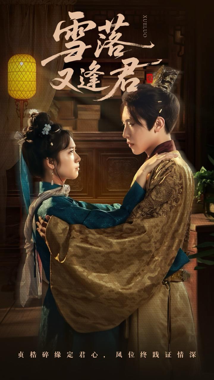 雪落又逢君（78集）陈柯宇＆杨映真  /最新 短剧