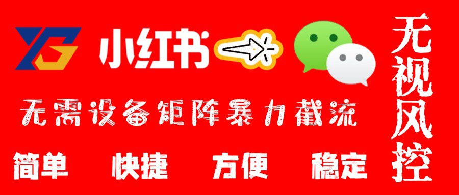 202410最新小红书卡片项目，日入500+