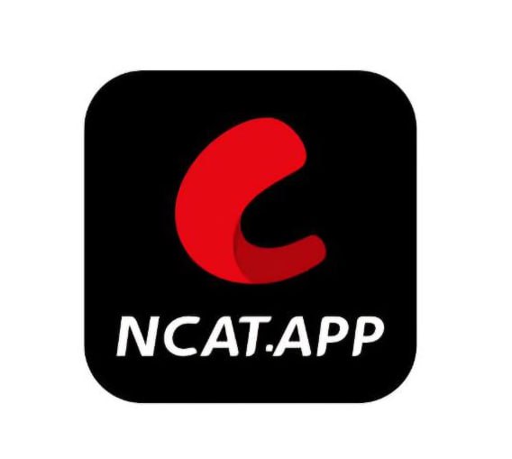 网飞猫电视TV版 - 去广告精简