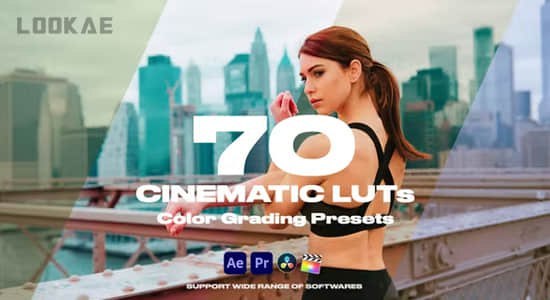 Luts70个电影大片LUTs调色预设V1