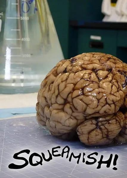 全球最恶心 Squeamish!