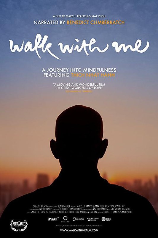 与我同行 Walk with Me (2017) 1080p 原盘Remux 中文字幕 已刮削
