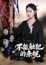 2025年10月17日 短剧合集目录17