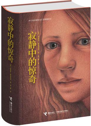 寂静中的惊奇 [﻿小说文学] [pdf+全格式]