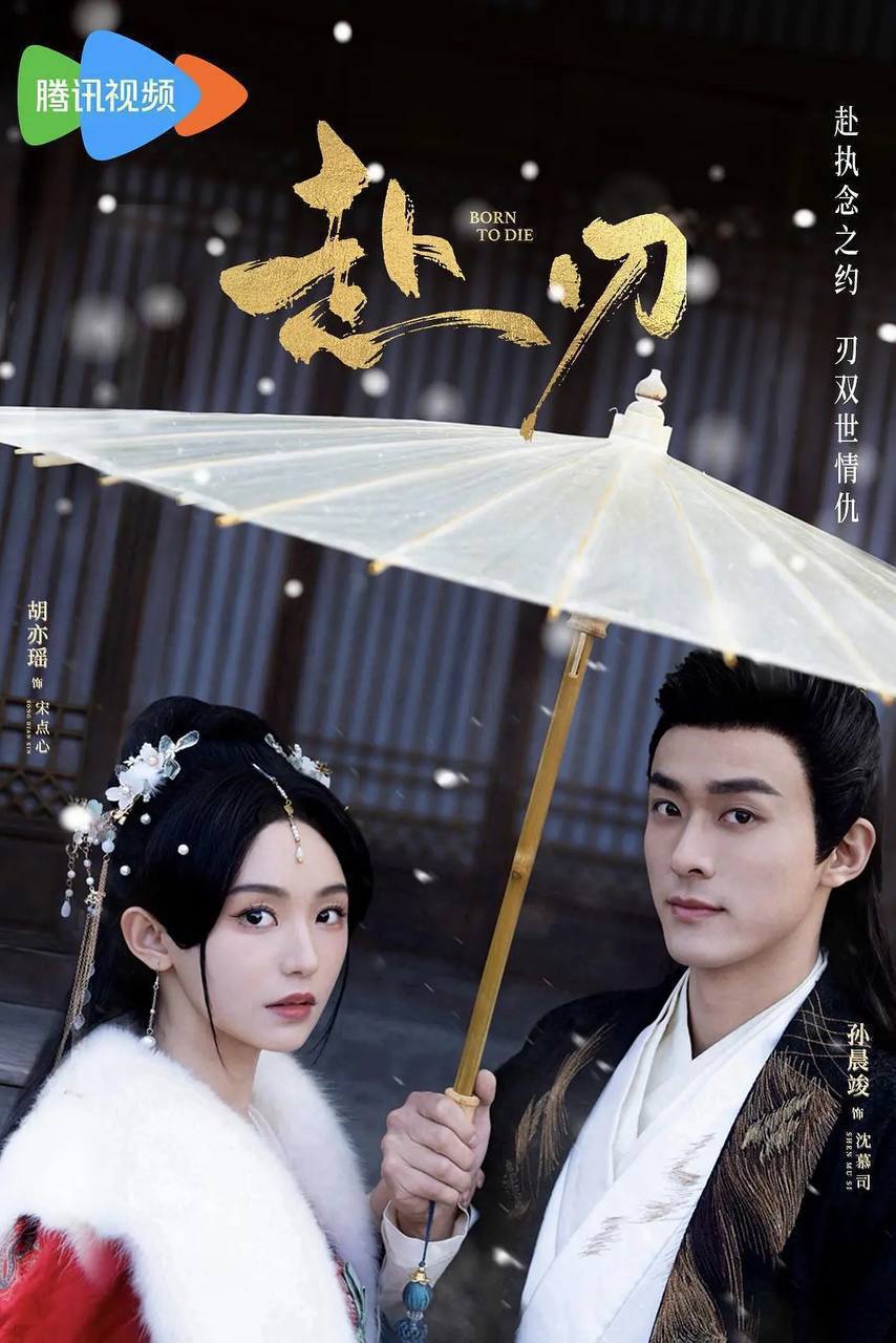 赴刃(2025)[更至 22/24集]