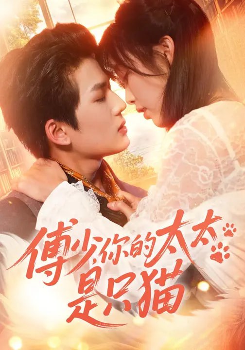 傅少你的太太是只猫 (64集) 赵偲佟&向明 | 短剧
