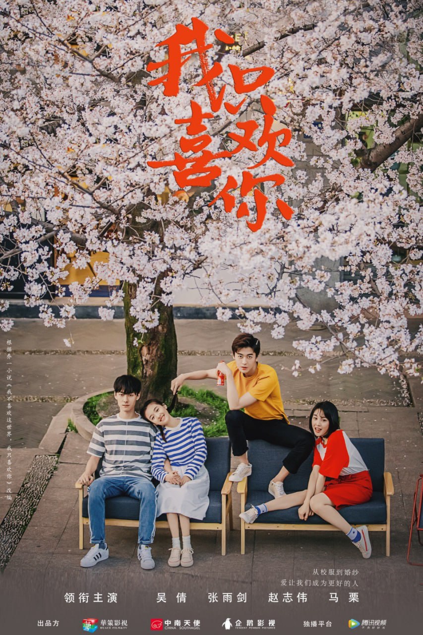 我只喜欢你 全35集 国语中字 2019 4K