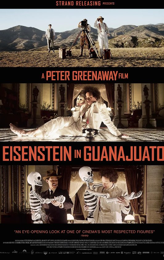爱森斯坦在瓜纳华托 Eisenstein in Guanajuato (2015) 1080 外挂中字
