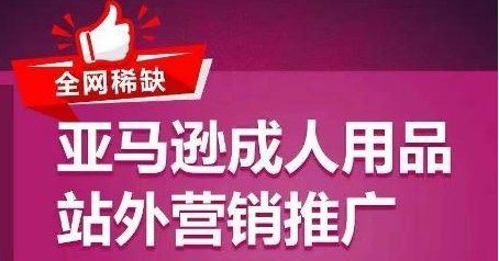 全网稀缺！亚马逊成人用品站外营销推广，教你引爆站外流量，开启爆单模式