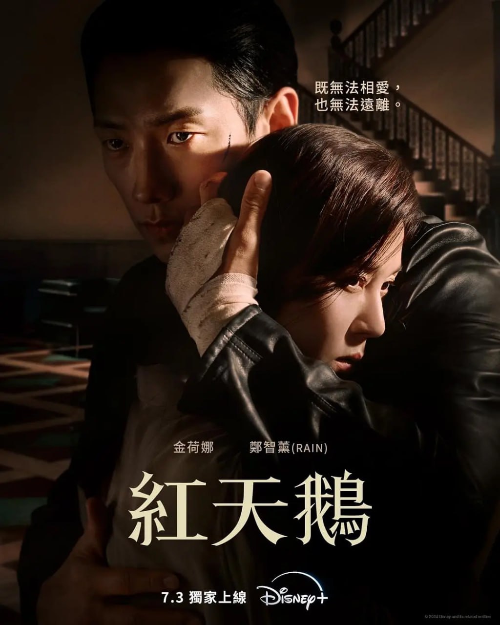 红天鹅（2024）4K内封简繁/杜比内封简繁多 更新至02集
