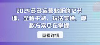 2024多多运营必听课程