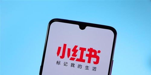 月入10w的小红书商业爆款私教营，一人公司小红书IP打造，爆款笔记，商业变现秘籍