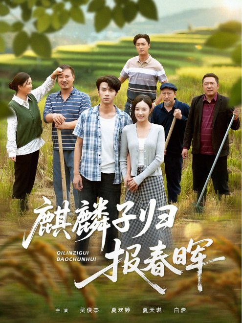 麒麟子归报春晖(63集)