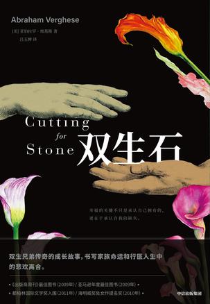 双生石 [﻿小说文学] [pdf+全格式]
