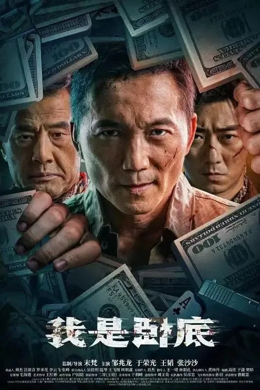 我是卧底 (2026) [4K-HDR] [国语配音] [内嵌简中英]