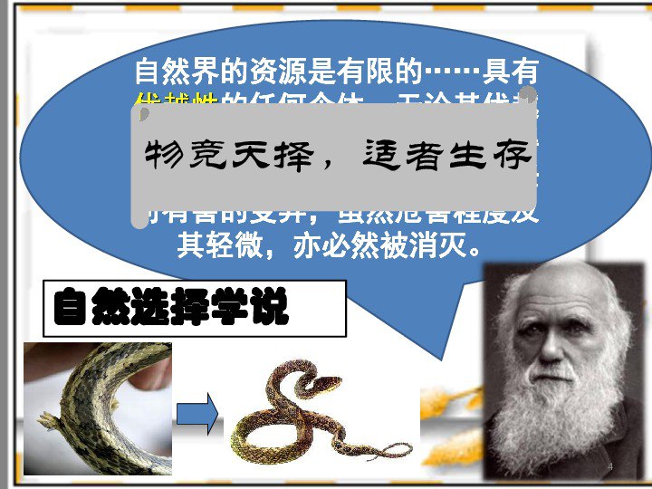 动物崛起系列全集探秘生命起源 追寻进化真谛[epub]