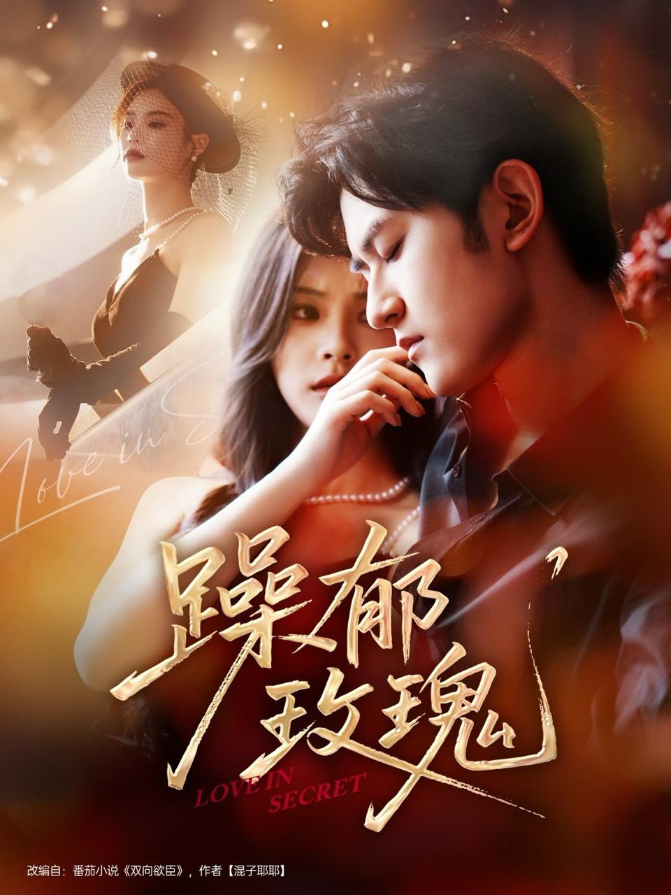 躁郁玫瑰 （71集）朱彦恺＆杨静怡  /最新 短剧