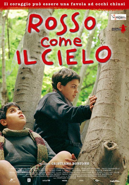 听见天堂 Rosso come il cielo (2006) 1080p 原盘Remux 中文字幕 已刮削