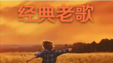 久听不厌经典老歌网易云330万收藏