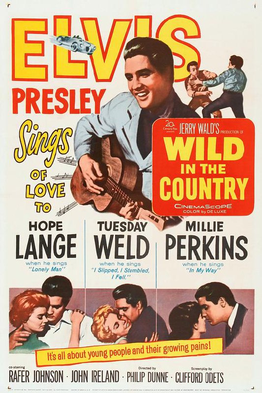 乡间野趣 Wild in the Country (1961) 1080p 原盘Remux 已刮削
