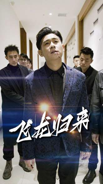 飞龙归来(89集) [赘婿]