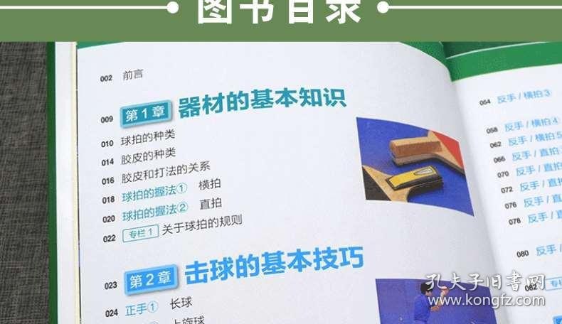 乒乓球基础与实战：击球 攻防与战术全彩图解版 练好基本功 再难再新的技术也能学会[pdf]