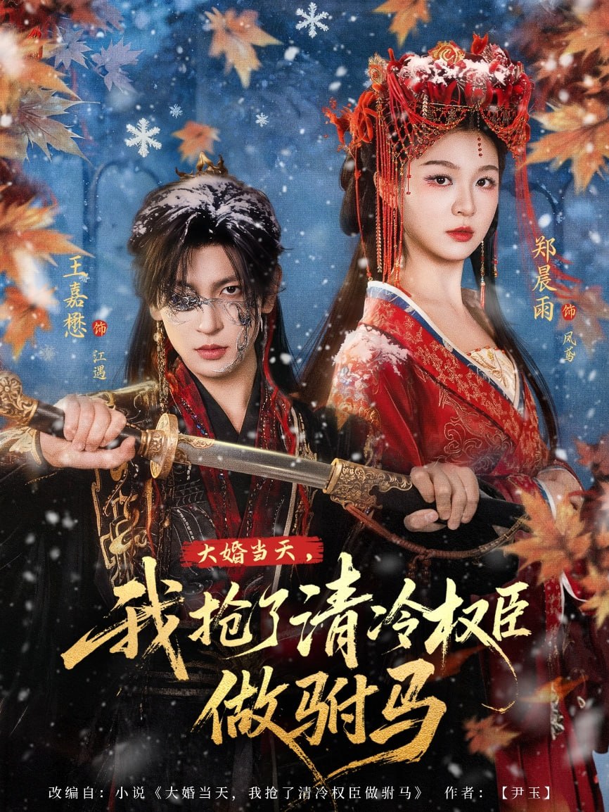 大婚当天，我抢了清冷权臣做驸马（73集）王嘉懋＆郑晨雨|短剧
