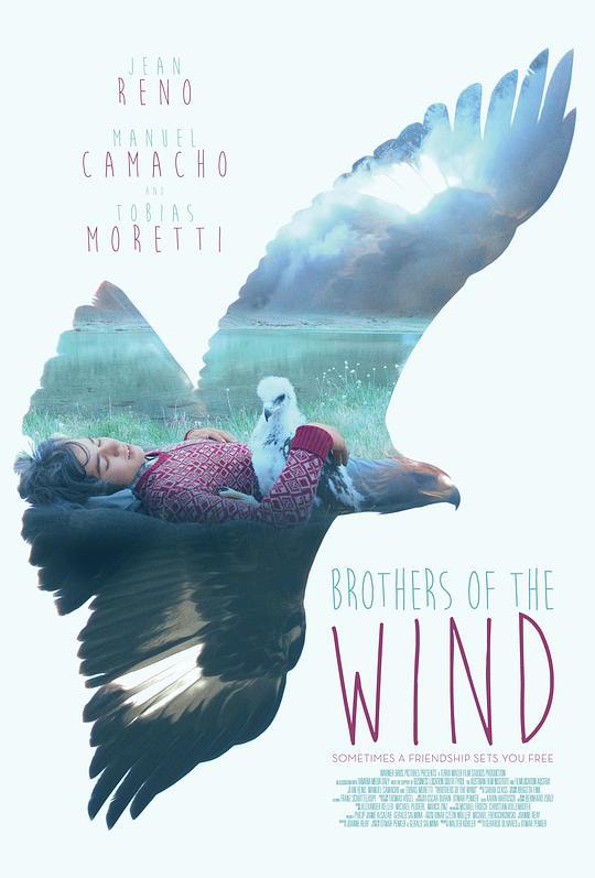追鹰日记 Brothers of the Wind (2015) 1080p 原盘Remux 中文字幕 已刮削