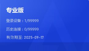 AnyViewer Pro(远程控制软件) 两年激活码
