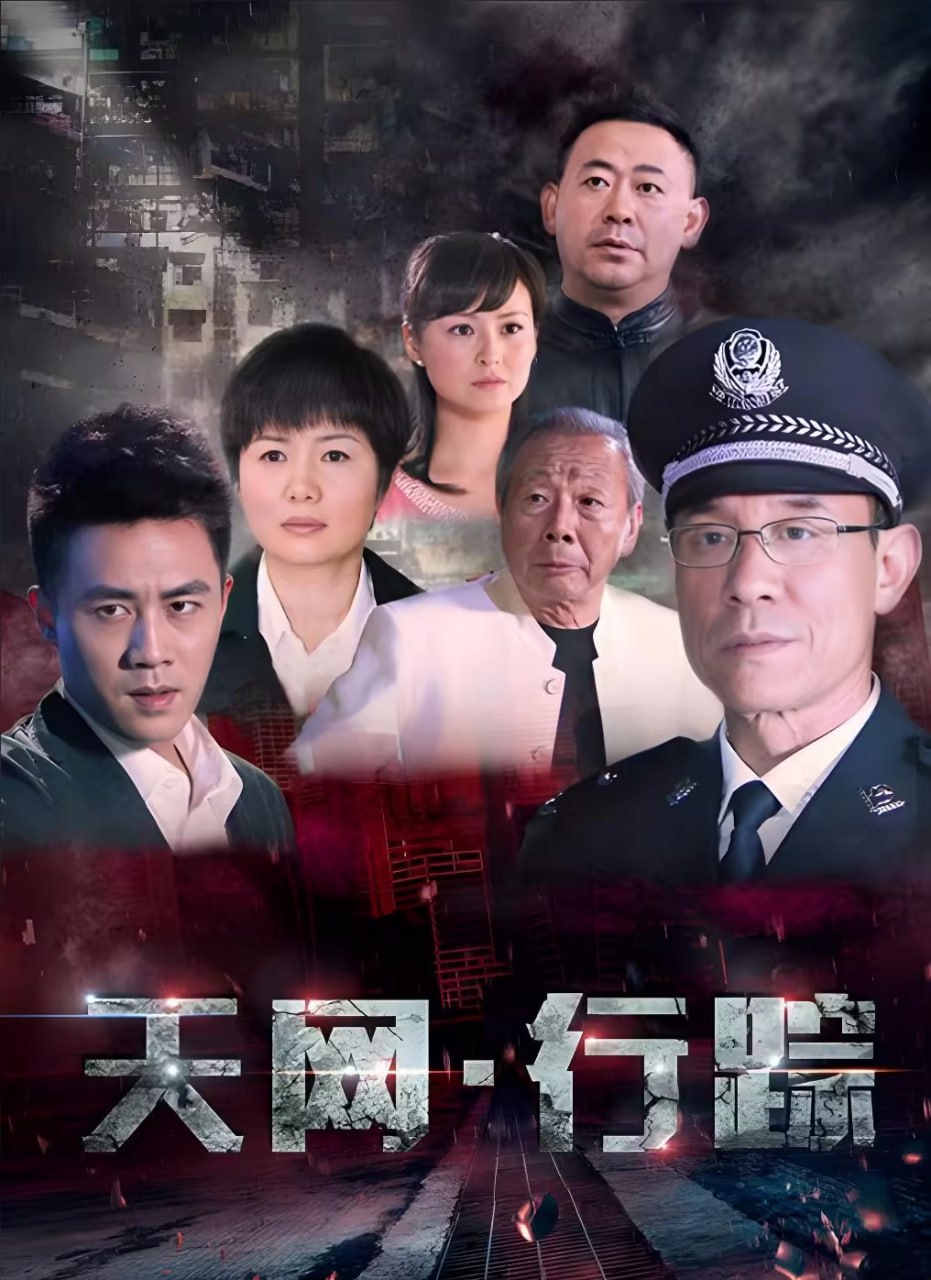 天网行踪 (2024) 国语中字.1080p.WEB-DL.H264.AAC.mkv (全 24 集)