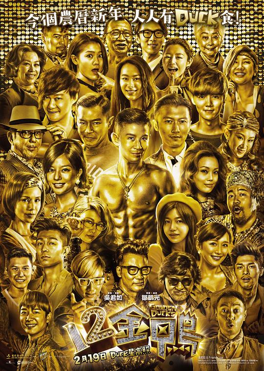 12金鸭 12金鴨 (2015) 1080p 原盘Remux 中文字幕 已刮削
