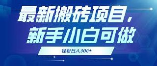 最新搬砖项目，每天1小时，轻松日入300 ，新手小白可做