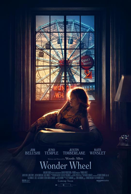 摩天轮 Wonder Wheel (2017) 1080p 原盘Remux 中文字幕 已刮削