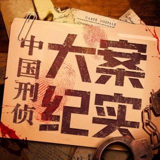 中国大案纪实合集 揭秘真相，正义之光下的罪与罚