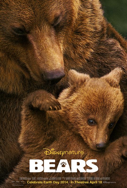 熊世界 Bears (2014) 1080p 原盘Remux 中文字幕 已刮削