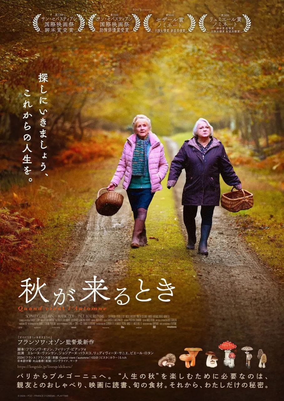 秋日何时来(2024)