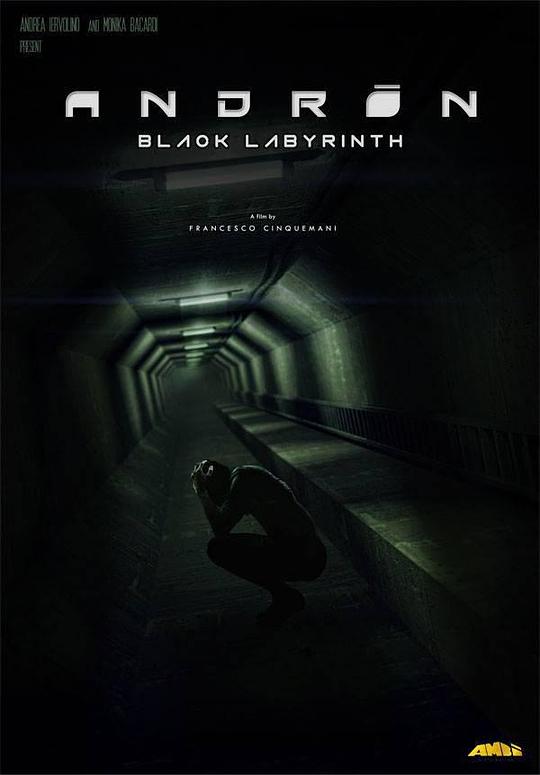 安德烈：黑色的迷宫 Andròn: The Black Labyrinth (2015) 1080p 原盘Remux 中文字幕 已刮削