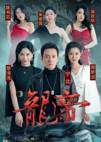 龙帝(100集) [赘婿]