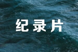 11部4K原盘收藏级纪录片
