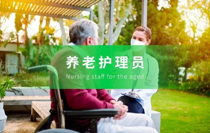 养老护理员：从入门到精通的完全培训指南