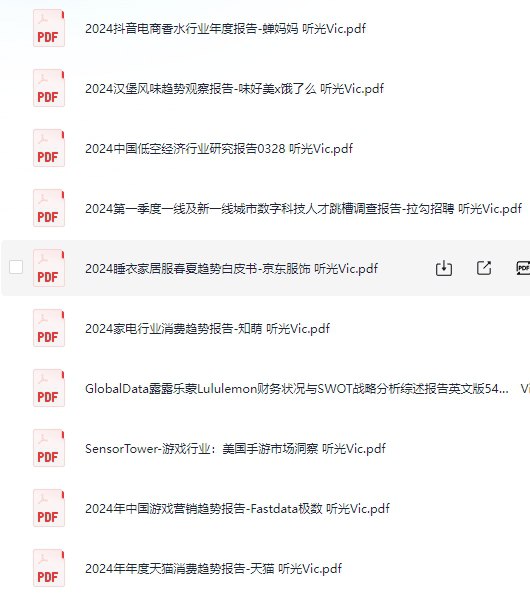 2024报告